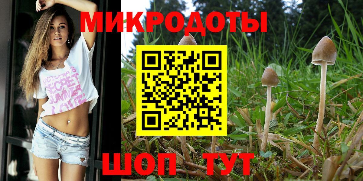 Галлюциногенные грибы мицелий  Вход с VPN  где можно купить наркотик  Галлюциногенные грибы Cubensis  Магадан 