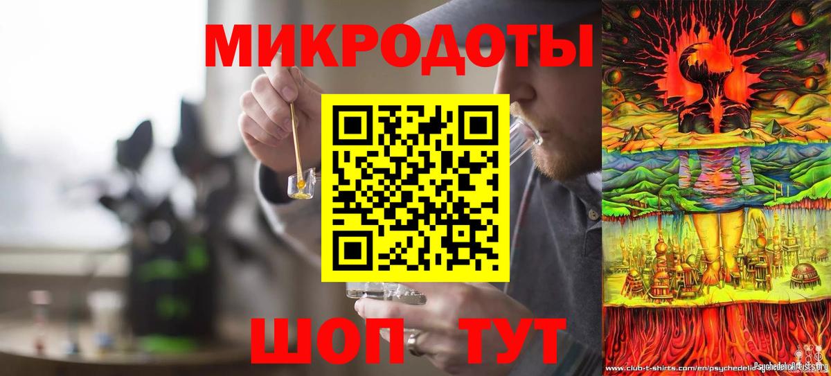 Псилоцибиновые грибы Psilocybe Магадан