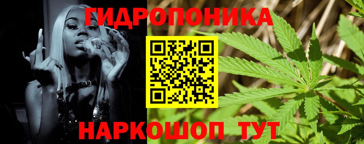 МАРИХУАНА конопля Магадан